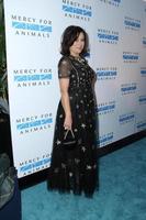 LOS ANGELES, SEP 12 -  Jennifer Tilly at the Mercy For Animals 15th Anniversary Gala at London Hotel on September 12, 2014 in West Hollywood, CA photo