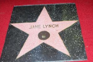 LOS ANGELES, SEP 4 -  Jane Lynch at the Jane Lynch Hollywood Walk of Fame Star Ceremony on Hollywood Boulevard on September 4, 2013 in Los Angeles, CA photo