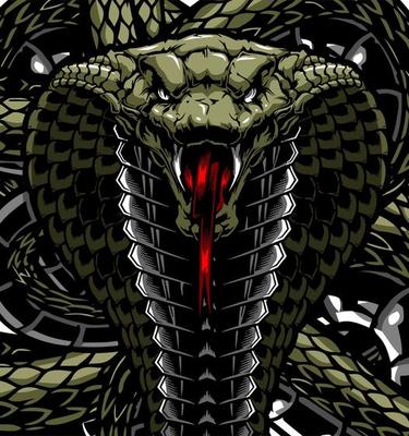 Cobra Snake Wallpapers  Top Free Cobra Snake Backgrounds  WallpaperAccess