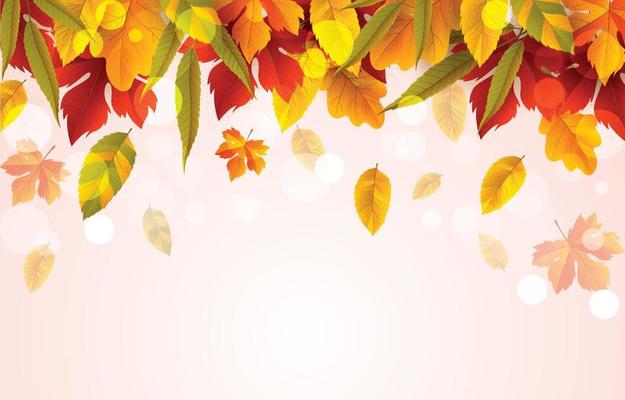 Autumn Fallen Leaves Background