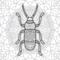 Insect Mandala coloring pages. vector