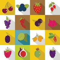 Berries icons set, flat style vector