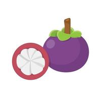 Flat vector of Mangosteen isolated on white background. Flat illustration graphic icon