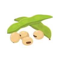 Flat vector of Soy beans isolated on white background. Flat illustration graphic icon