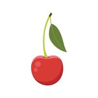 Flat vector of Cherry isolated on white background. Flat illustration graphic icon