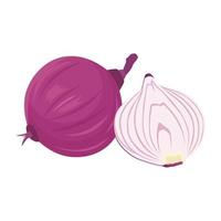 Flat vector of Onion isolated on white background. Flat illustration graphic icon