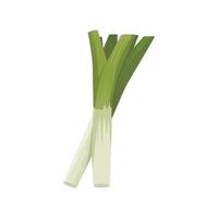 Flat vector of Leeks isolated on white background. Flat illustration graphic icon