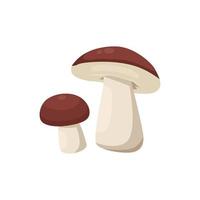 Flat vector of Porcini mushroom isolated on white background. Flat illustration graphic icon