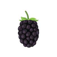 vector plano de moras aisladas sobre fondo blanco. icono gráfico de ilustración plana