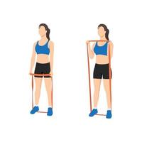 Woman doing Hammer grip curls with long resistance band exercise. Flat vector illustration isolated on white background