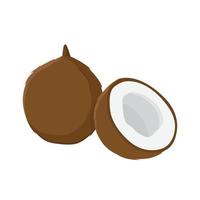 Flat vector of Coconut isolated on white background. Flat illustration graphic icon