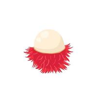 Flat vector of Rambutan isolated on white background. Flat illustration graphic icon