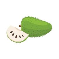 Flat vector of Soursop fruit isolated on white background. Flat illustration graphic icon