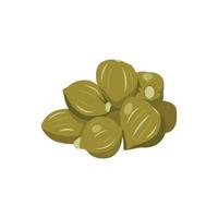 Flat vector of Capers isolated on white background. Flat illustration graphic icon