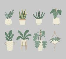 houseplant vector flat collection