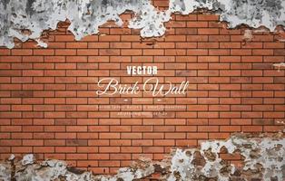 Beautiful block brick wall pattern texture background vector