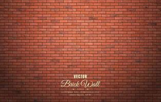 Beautiful block brick wall pattern texture background vector