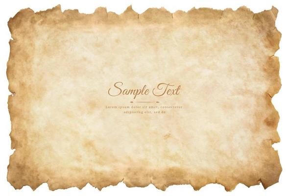 Vector old parchment paper sheet vintage aged or texture isolated on white background