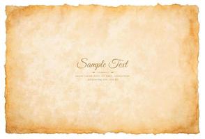 Vector old parchment paper sheet vintage aged or texture isolated on white background