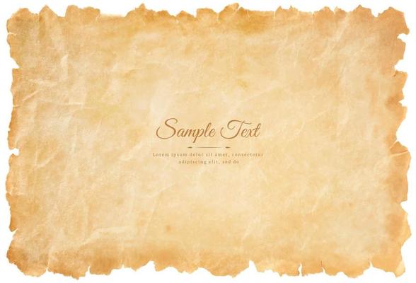 Vector old parchment paper sheet vintage aged or texture isolated on white background