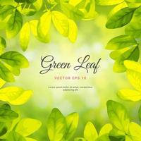 Painted Illustration Vector beautiful Natural green leaf on abstract blurred bokeh light background