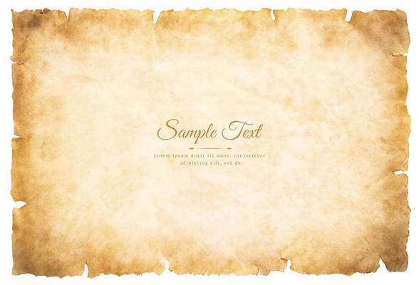 Vector old parchment paper sheet vintage aged or texture isolated on white background