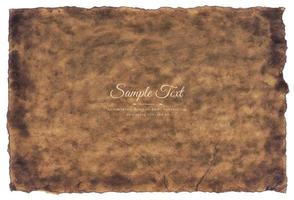 Vector old parchment paper sheet vintage aged or texture isolated on white background