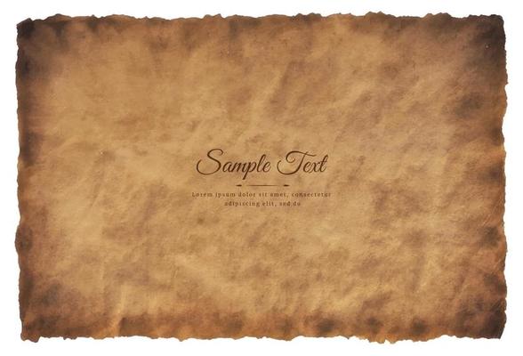 Vector old parchment paper sheet vintage aged or texture isolated on white background