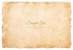 Vector old parchment paper sheet vintage aged or texture isolated on white background