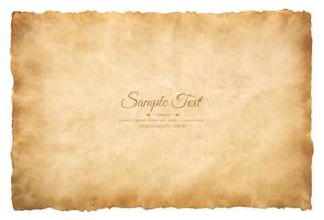 Vector old parchment paper sheet vintage aged or texture isolated on white background