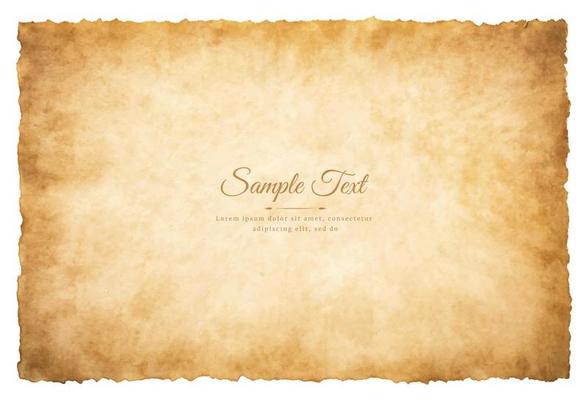 Vector old parchment paper sheet vintage aged or texture isolated on white background