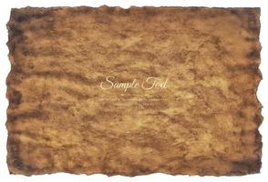 Vector old parchment paper sheet vintage aged or texture isolated on white background