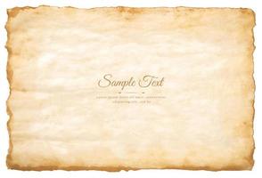 Vector old parchment paper sheet vintage aged or texture isolated on white background