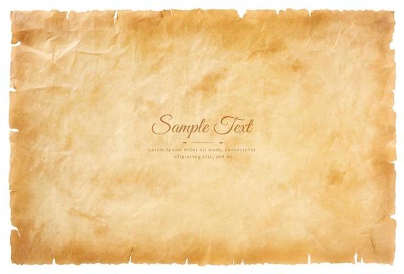 Vector old parchment paper sheet vintage aged or texture isolated on white background