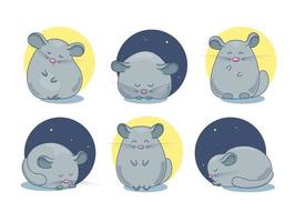 Set of chinchilla pet drawings vector