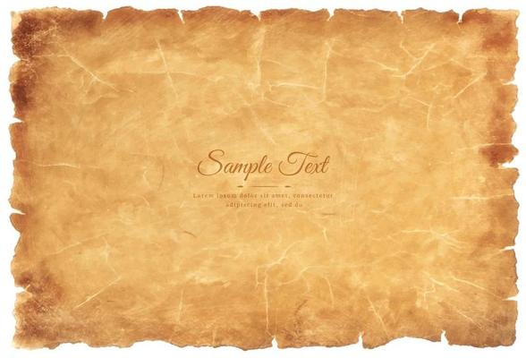 Vector old parchment paper sheet vintage aged or texture isolated on white background
