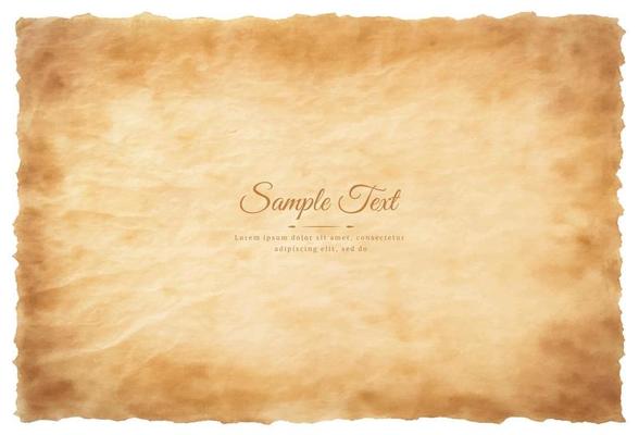 Vector old parchment paper sheet vintage aged or texture isolated on white background