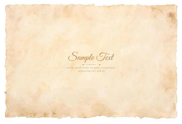 Vector old parchment paper sheet vintage aged or texture isolated on white background