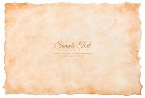 Vector old parchment paper sheet vintage aged or texture isolated on white background