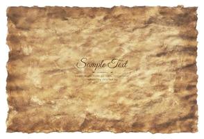 Vector old parchment paper sheet vintage aged or texture isolated on white background