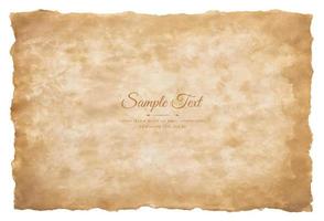 Vector old parchment paper sheet vintage aged or texture isolated on white background