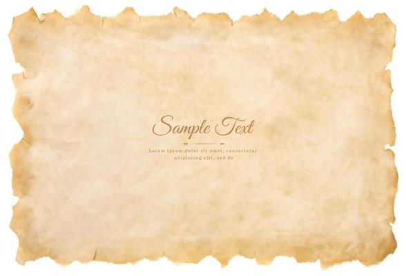 Vector old parchment paper sheet vintage aged or texture isolated on white background