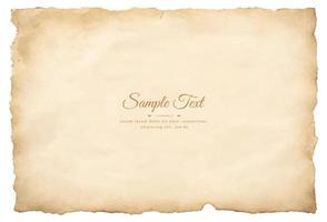 Vector old parchment paper sheet vintage aged or texture isolated on white background