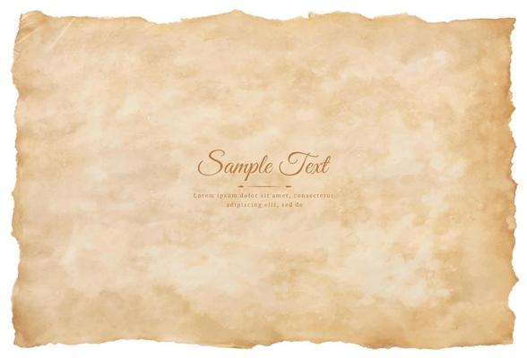 Vector old parchment paper sheet vintage aged or texture isolated on white background
