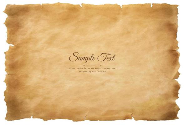 Vector old parchment paper sheet vintage aged or texture isolated on white background