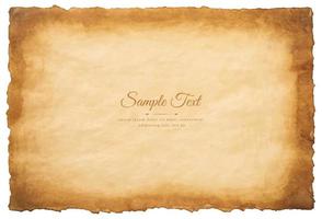 Vector old parchment paper sheet vintage aged or texture isolated on white background