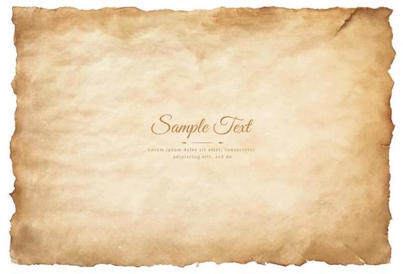 Vector old parchment paper sheet vintage aged or texture isolated on white background