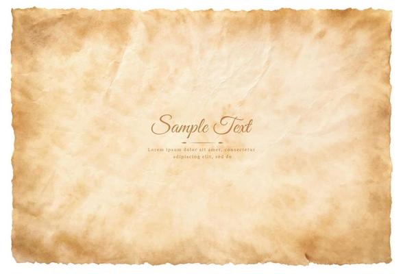 Vector old parchment paper sheet vintage aged or texture isolated on white background