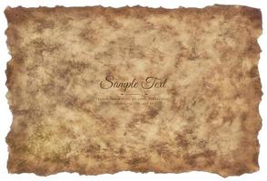 Vector old parchment paper sheet vintage aged or texture isolated on white background