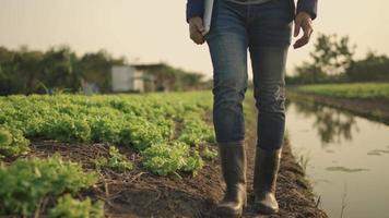 un granjero con botas camina dentro de la granja. video